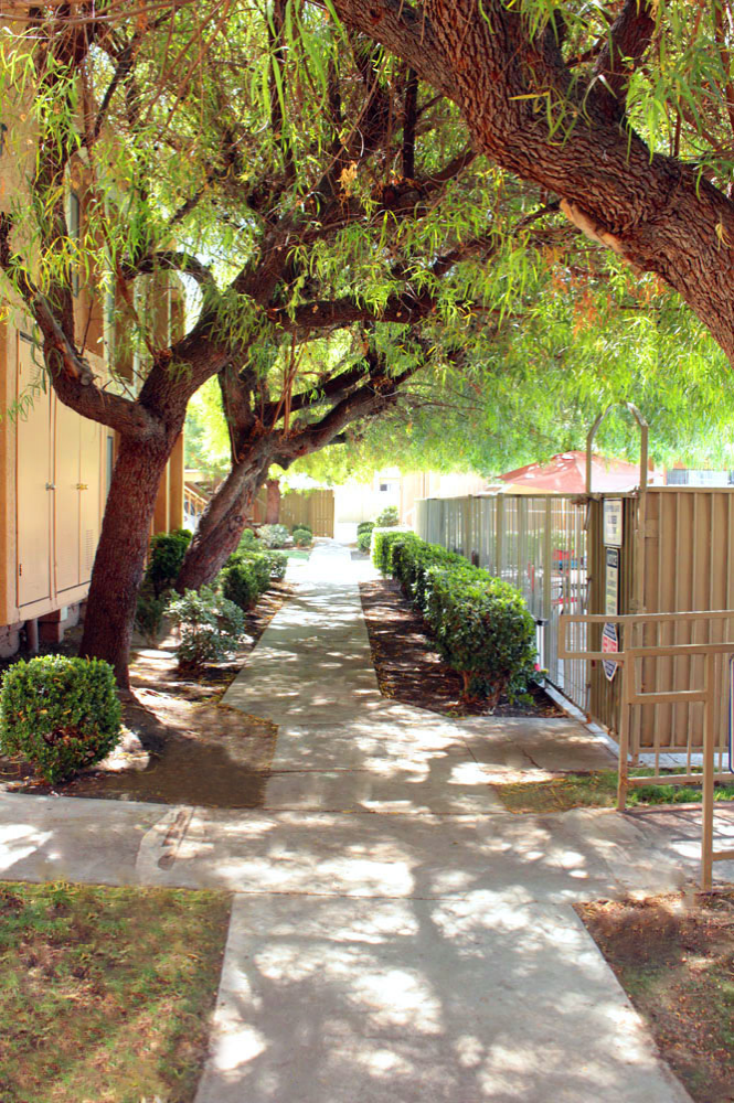 This Exteriors 2 photo can be viewed in person at the The Regency Apartments, so make a reservation and stop in today.
